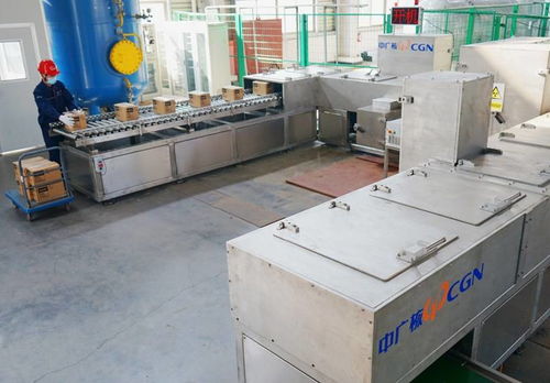 電子束技術(shù)在冷鏈?zhǔn)称吠獍b新冠病毒滅活項目中的突破性成果通過專家評審